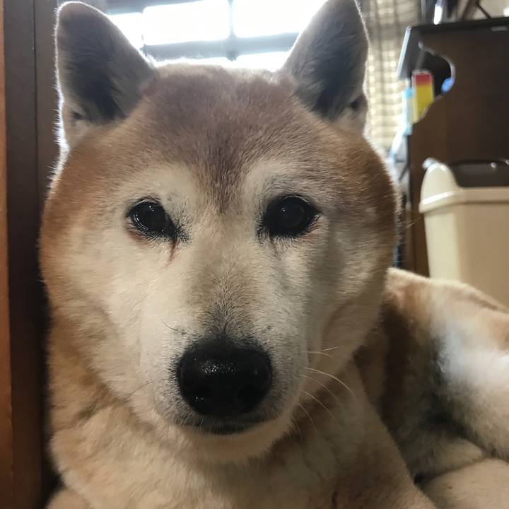 C08b6000 15bd 4da3 b683 f08f96ef45d2