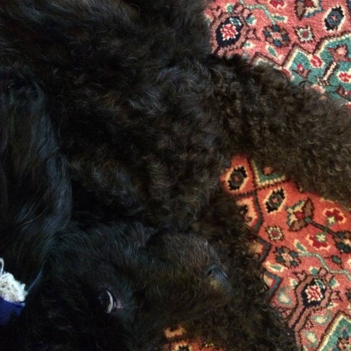 C08b94db 62d3 4ea4 a5c1 79c18400fad6