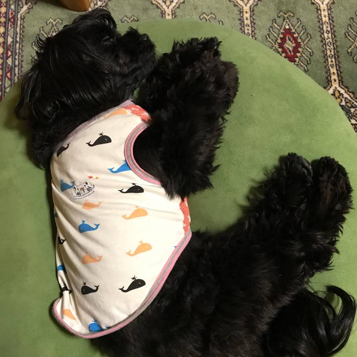 C08c5193 a2d8 49a4 b92d dbe3d551c7c9