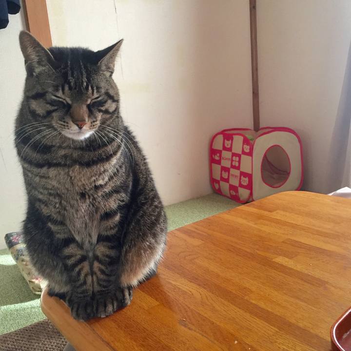 C08c534e 3c03 42cf 8120 e5bb818c588c