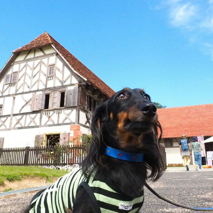 C08db1ae 711c 48cb ba0b c01e8807822f