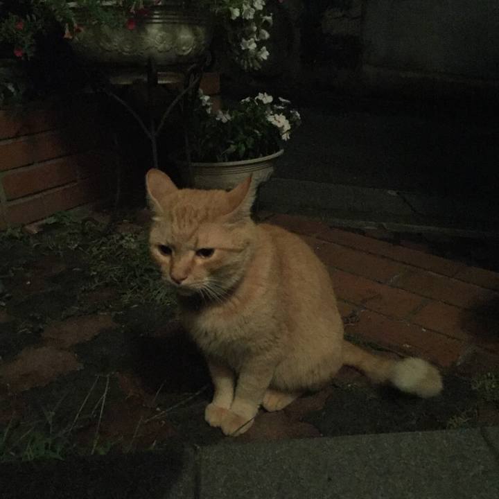 C08de9ce e462 4657 837a 9d095d1643fe