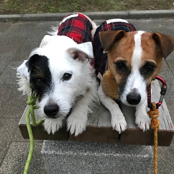 C08e469d ac58 4fb6 8f50 9796fd2caddd