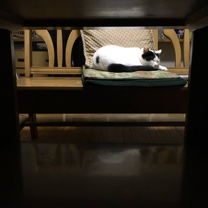 C08f30c6 e258 4871 b6ee d51b6b0276fd