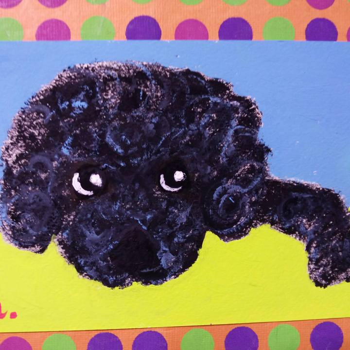 C08f350a 8c6d 49ea af16 198eb6dcffd8