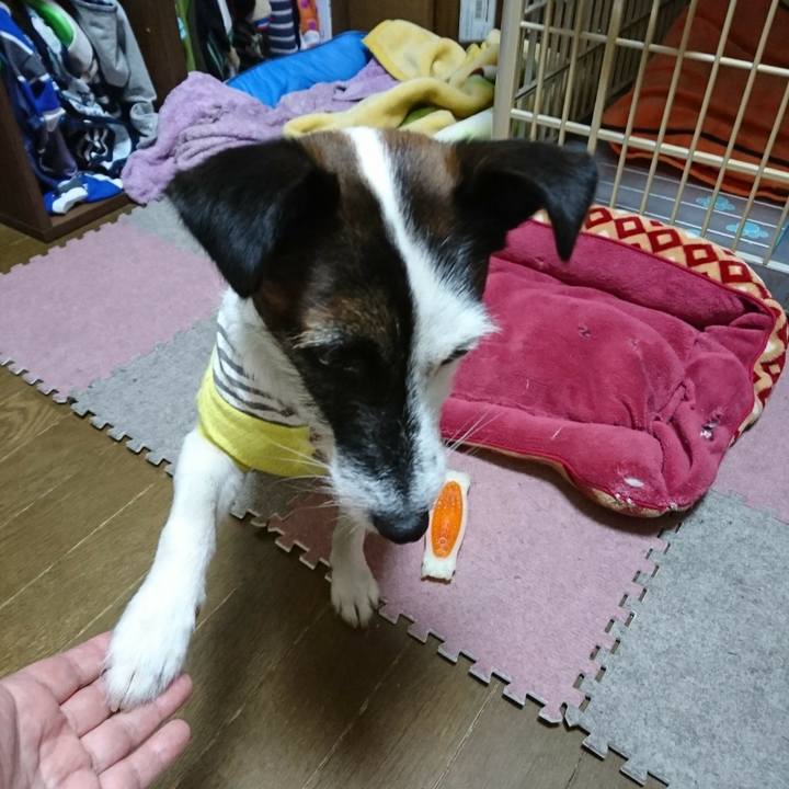 C08ff10d 250b 4d4f 8ffc 2c9a51ba9871