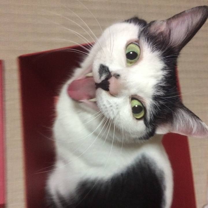 C090432b 6fed 4e6a b6dd 3c0d42f7c331