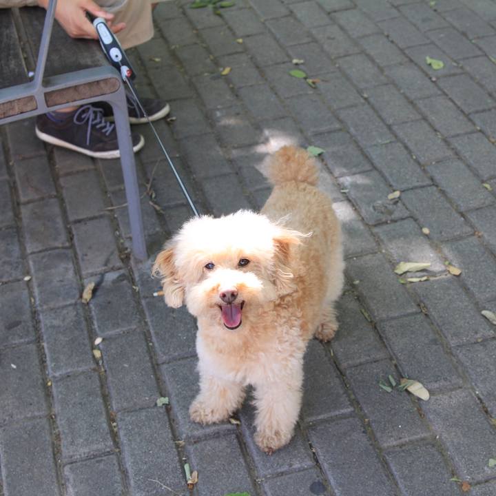 C090a276 66a8 44f1 b497 558b08e0369a