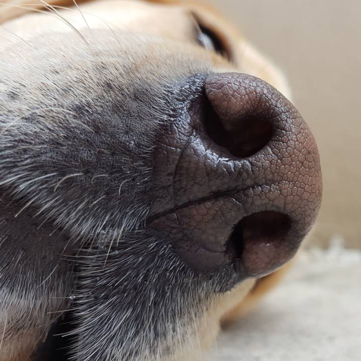 C090ba82 d176 4767 9ad1 4a07bf522178