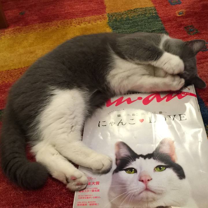 C0919168 66cf 47f2 89f2 59db2e3477b2