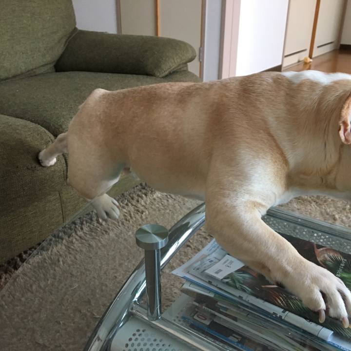 C091eb04 794a 4c65 8474 27dae94809c2