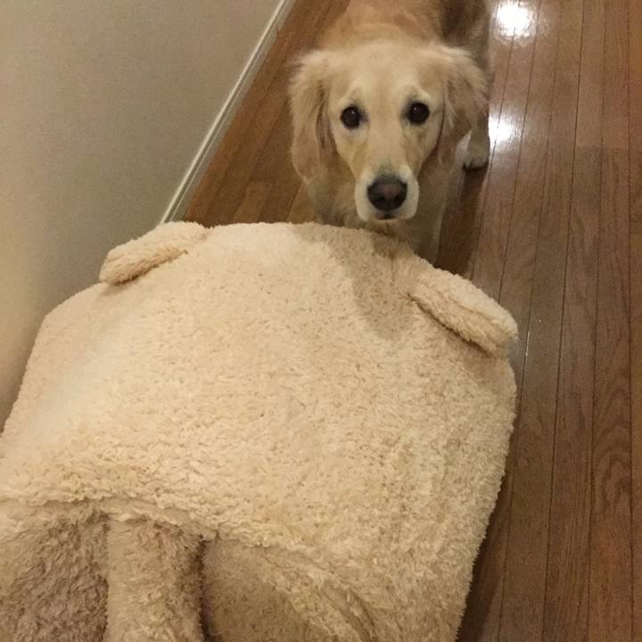 C0927393 89fb 4267 a490 d08992033ccc