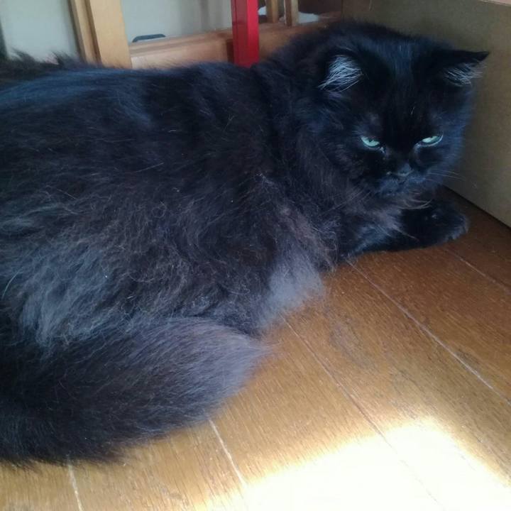 C092bc0f 79db 47c0 9025 c109e459a117