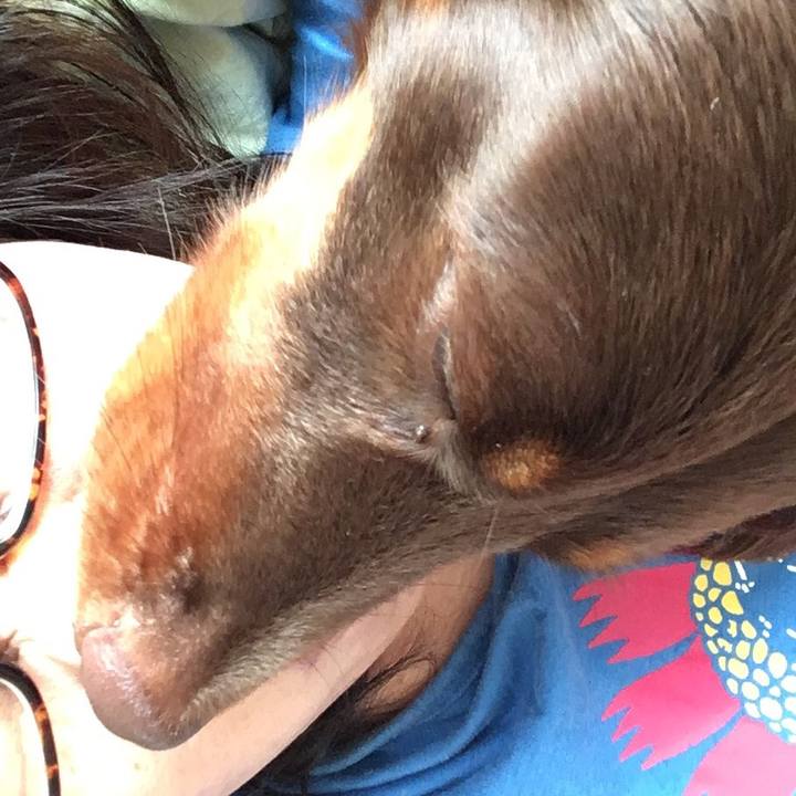 C092e1da 152c 4907 8ba7 89aa90ad5efc