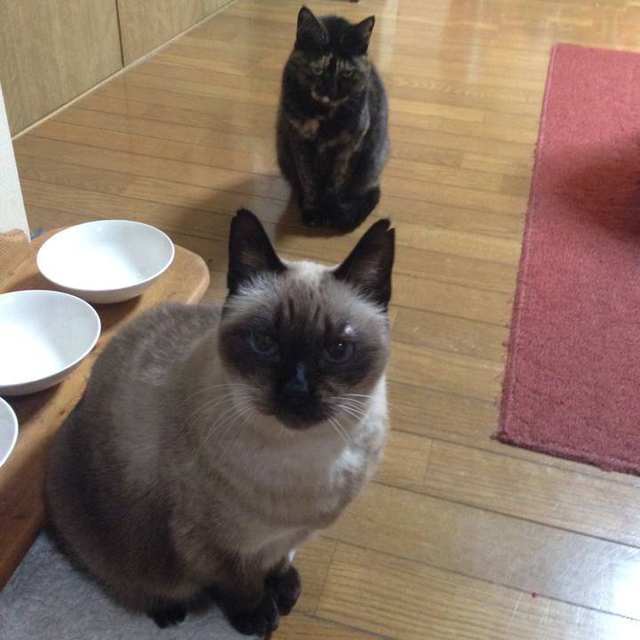 C093070e f5b0 48d9 bd9d cf8a38da36a5