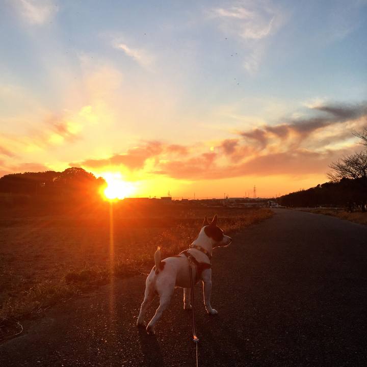 C093c497 01cd 4310 b070 1ec84da35cde