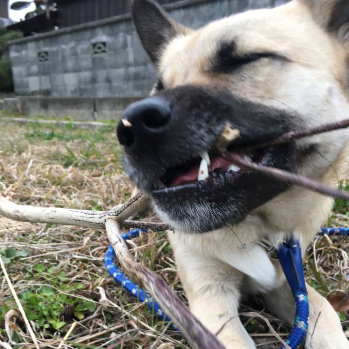 C093fde0 762d 4583 9a92 e6e4d4d861ab