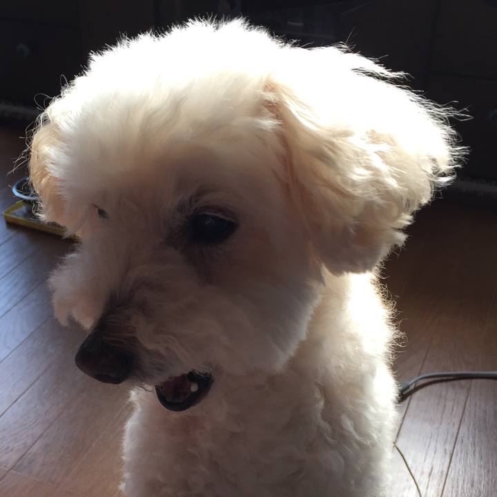 C0941a66 2930 4bac 9074 3d87029015fb