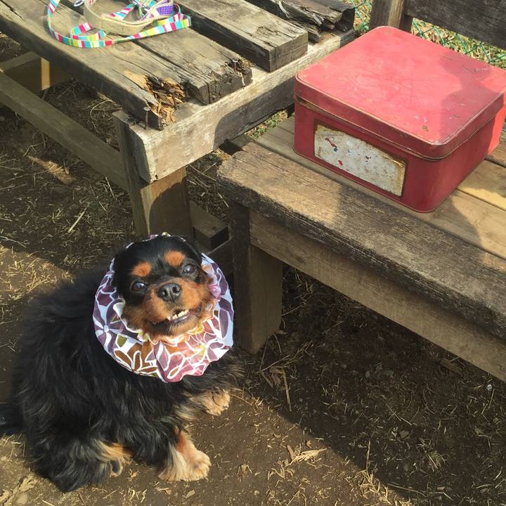 C0943454 92bb 494f 8d73 8f04cfdae13b