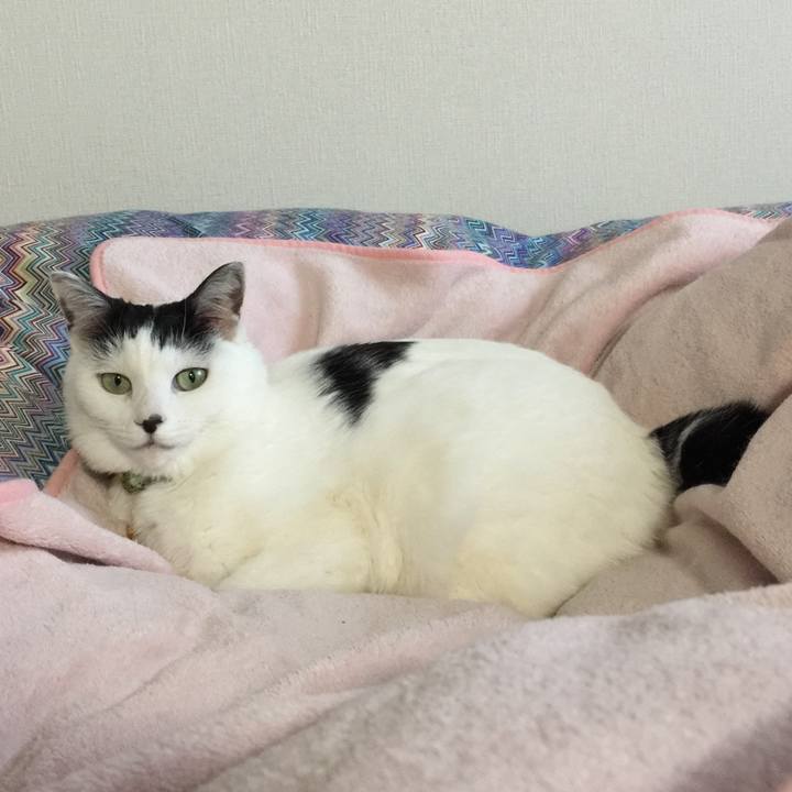 C0944fd9 dc21 483b 9c86 0aa4df6c6b3f