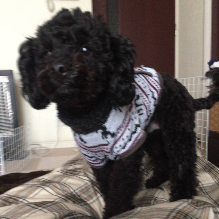 C096015c 8a4e 454f a9d6 d16af099aea7