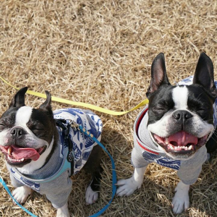 C09621d8 b8ab 46aa 9b6d 98fd3d6963ae