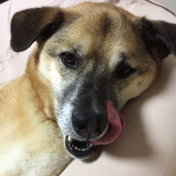 C0967ba9 ef31 4c59 89eb 77756fbc78c5