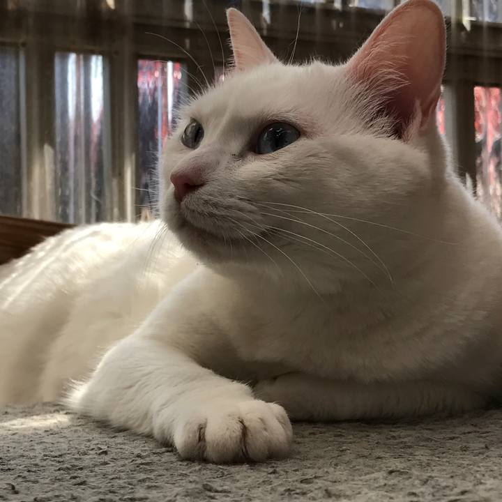 C0976089 ab85 45cc af4f 652a0425e6a8