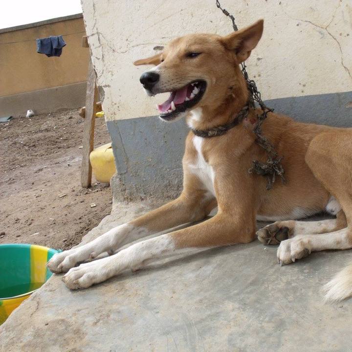 C097821b 42d1 4ad7 ad4e 6efb7f100ddd