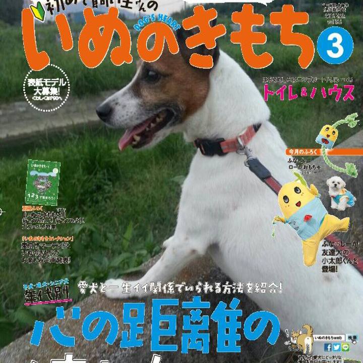 C097e067 30be 4191 af10 1cc65b6cd900