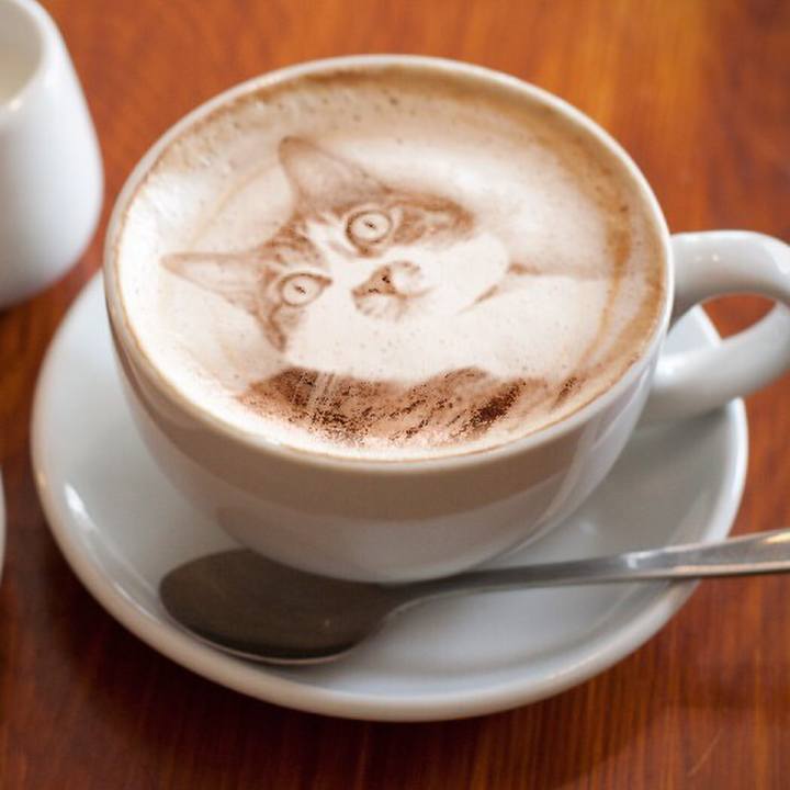 C09858af 69ba 49a6 9bcc 40de9e06f793