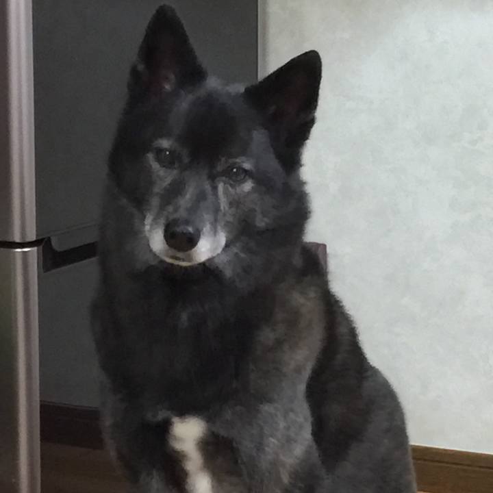 C0986007 5229 498c 9de5 5db7576bc1b2