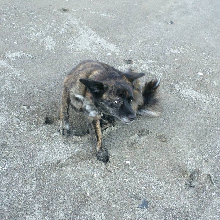 C098b072 fdaa 44a9 a5f3 831defead10e