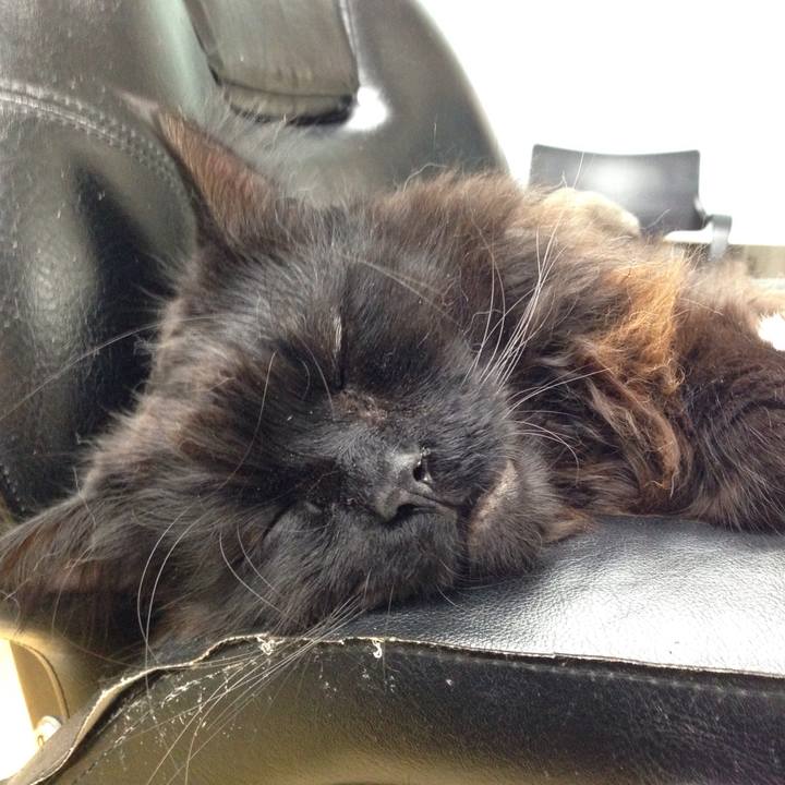 C0990e89 bd00 4fff 8eb2 14780fcd625d