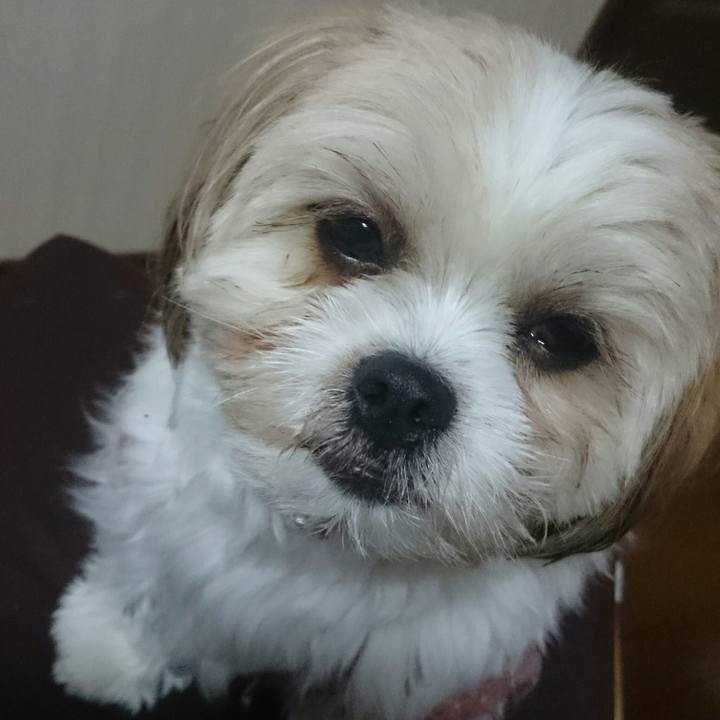 C09975e3 37ad 4274 997a 71afd061be23