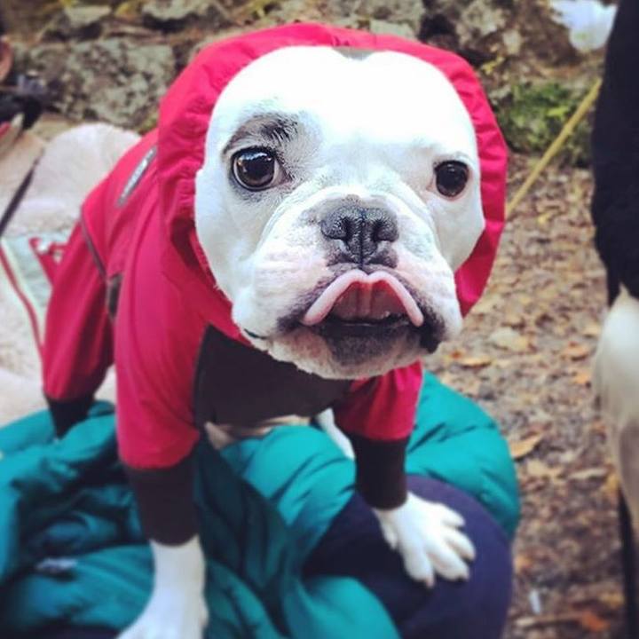 C099a390 ac59 4c38 9dab 4ced844a22fe