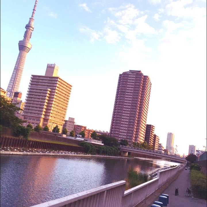 C099e7be a066 4788 82e3 833655c12286