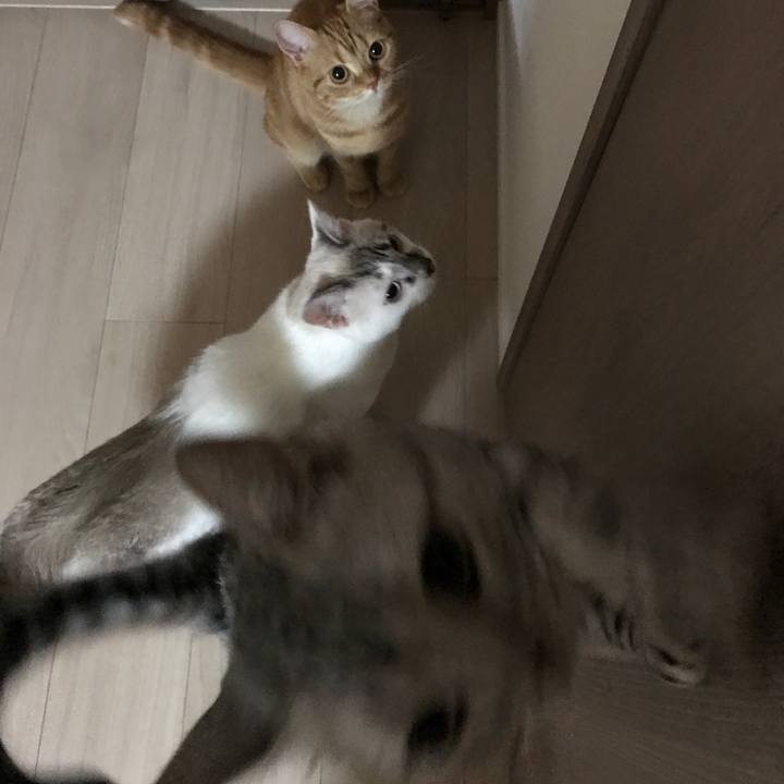 C09a9ac0 a67b 4b98 840a 42a20960b190