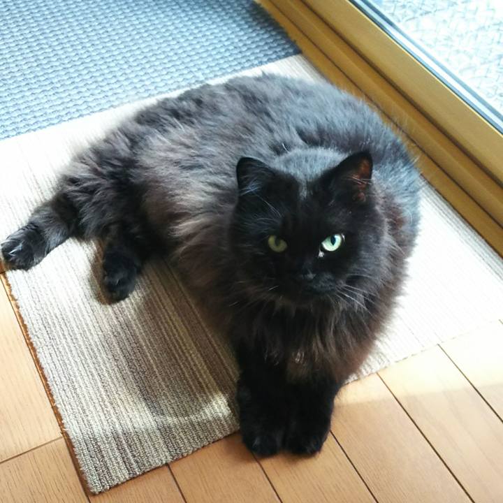 C09a9f24 f8d6 437f b36b 47ab88471380