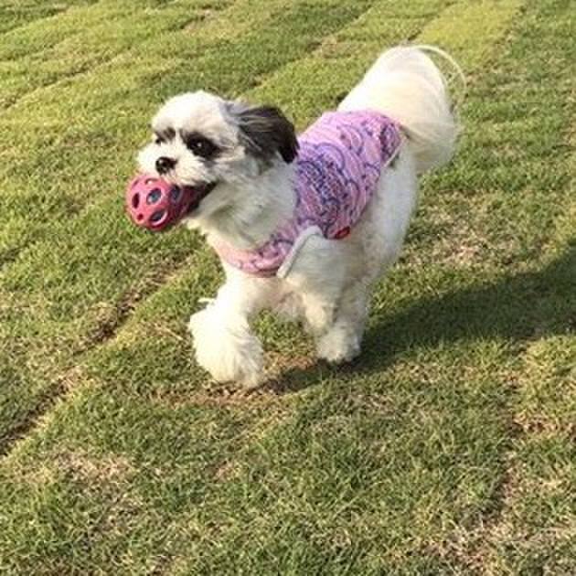 C09ac08e 2b36 4947 a05d 3cd12847db68