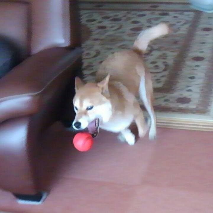 C09aef0e 7d35 48e5 970a c00a75961013