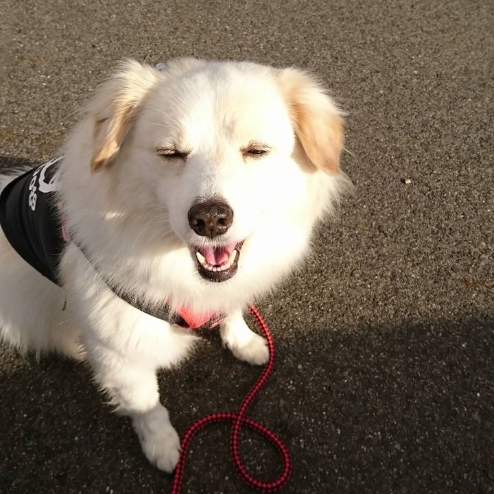 C09b5f4c f100 40b1 a093 a34839eb4af4