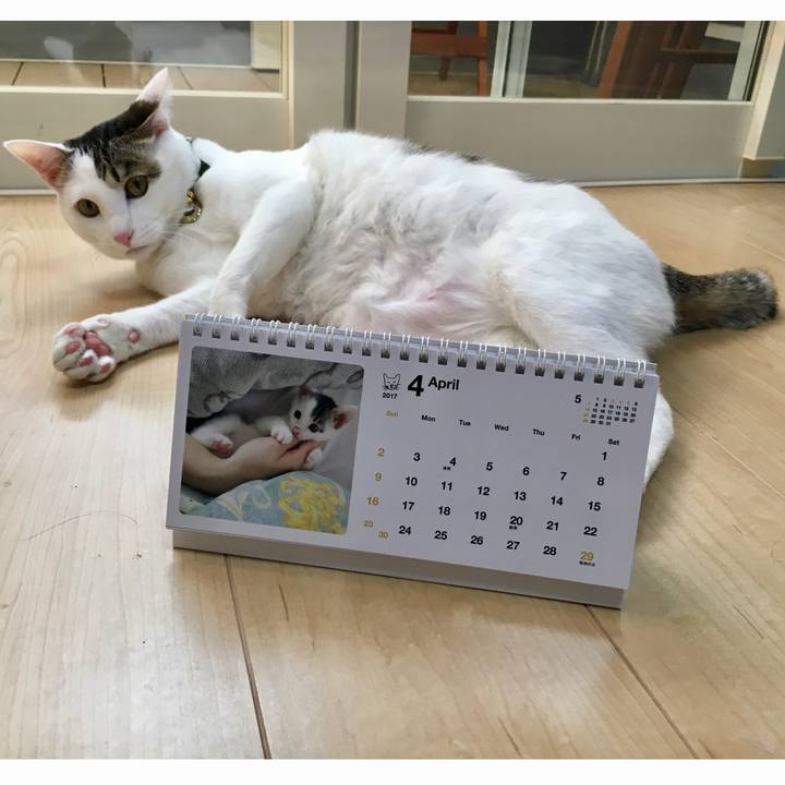 C09c796f 1342 4b7d aef5 72f315d281cf