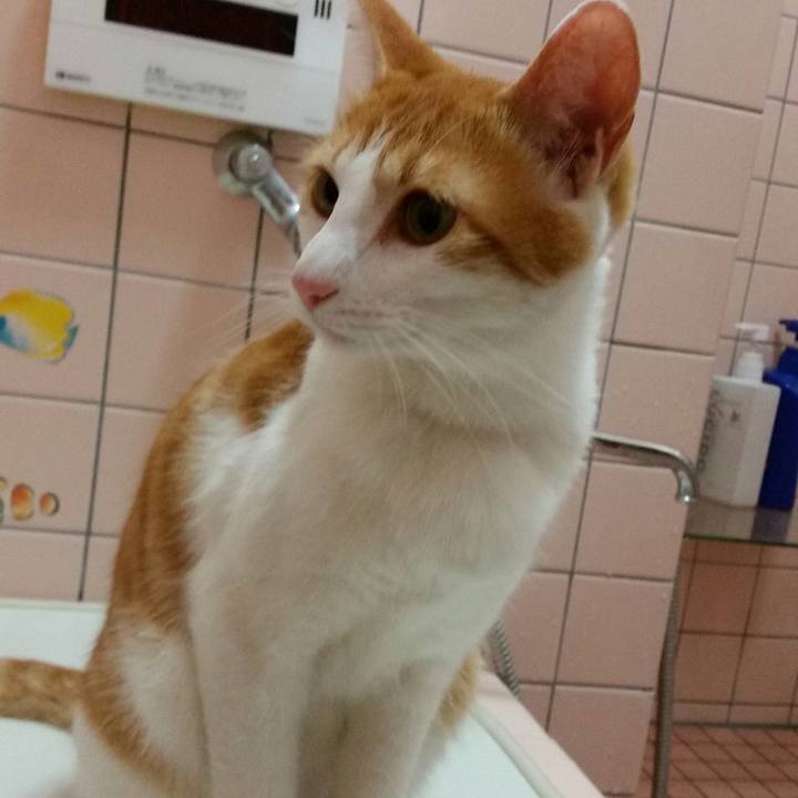 C09cb4ea 2789 4c01 8029 47a3869e6448