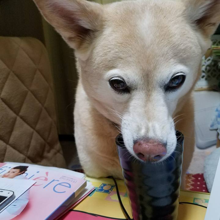 C09d0501 f905 4e0c 8488 b7de9232d152