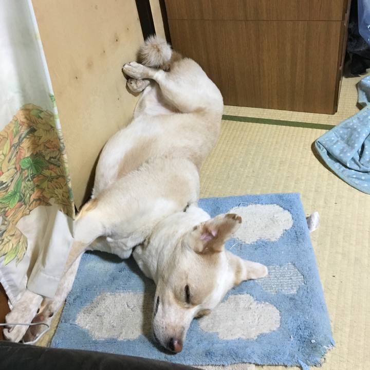 C09d1648 46cd 419b ab68 40fd63e6b836