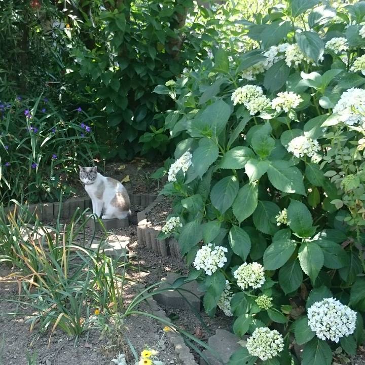 C09e3687 1fb8 4f37 98bf 27289e1fb337