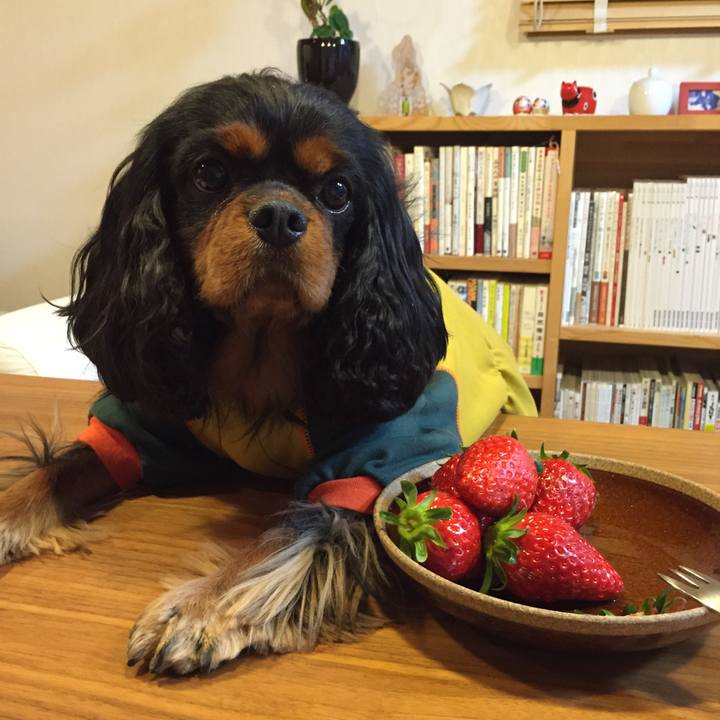 C09e9a85 be67 4294 bd2f 33253b58b9df