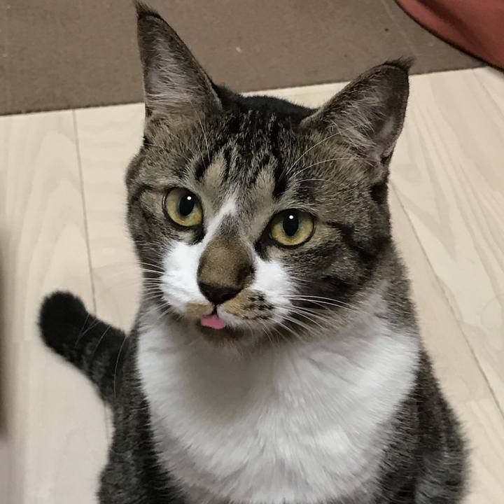 C09f111a 9224 471c 8f8d 4173a31e07cf