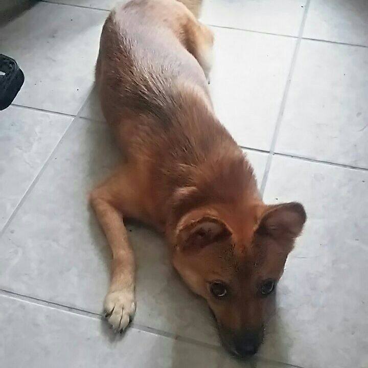 C09fdf88 5d83 4bf2 b6bc ae9979b2ca8a